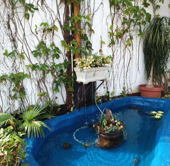 ガーデンビュースタンダードルーム, Queensburgh B&b Or Self Catering