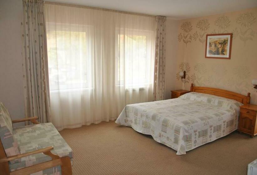 חדר סטנדרט, Family Hotel Shoky