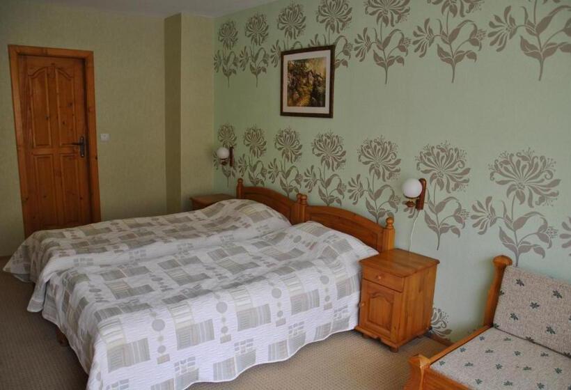 חדר סטנדרט, Family Hotel Shoky