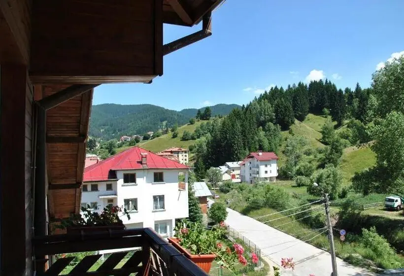 スイート, Family Hotel Shoky