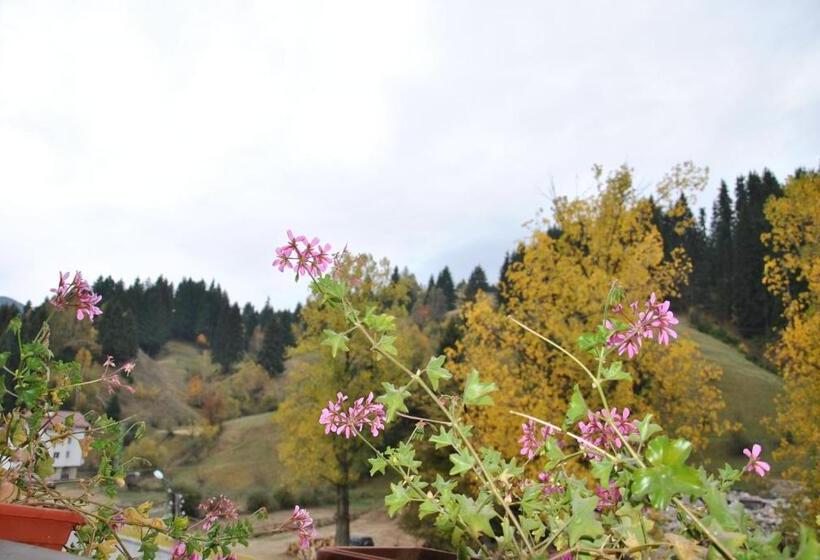 סוויטת ג'וניור עם מרפסת, Family Hotel Shoky