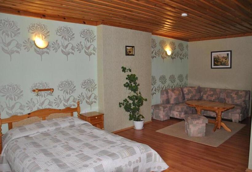 סוויטת ג'וניור עם מרפסת, Family Hotel Shoky