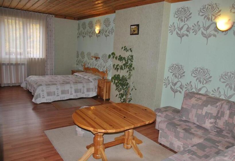 Полулюкс с Балконом, Family Hotel Shoky