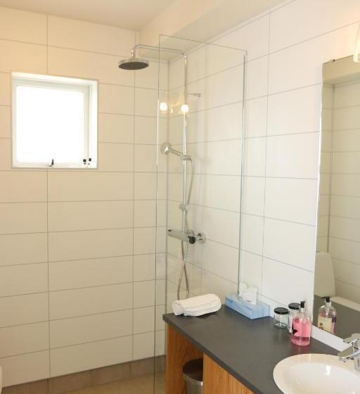 اتاق استاندارد با سرویس بهداشتی مشترک, Framtid Hostel