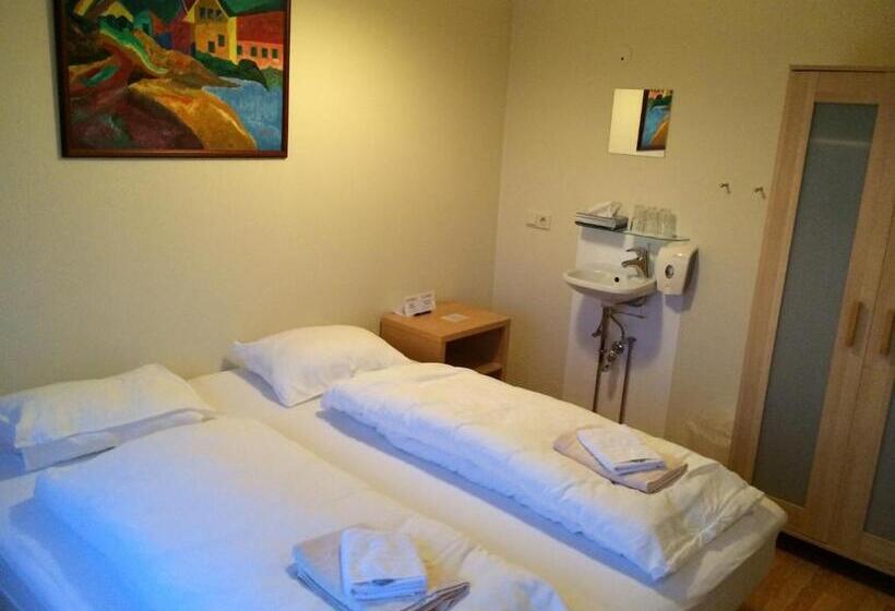 اتاق استاندارد با سرویس بهداشتی مشترک, Framtid Hostel