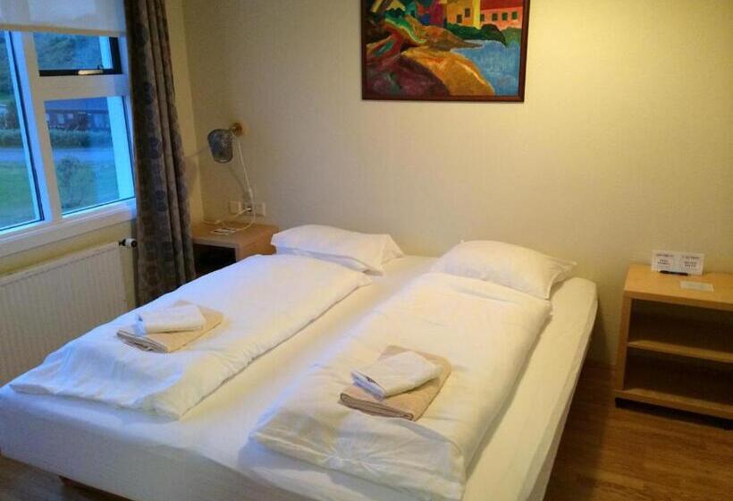 اتاق استاندارد با سرویس بهداشتی مشترک, Framtid Hostel