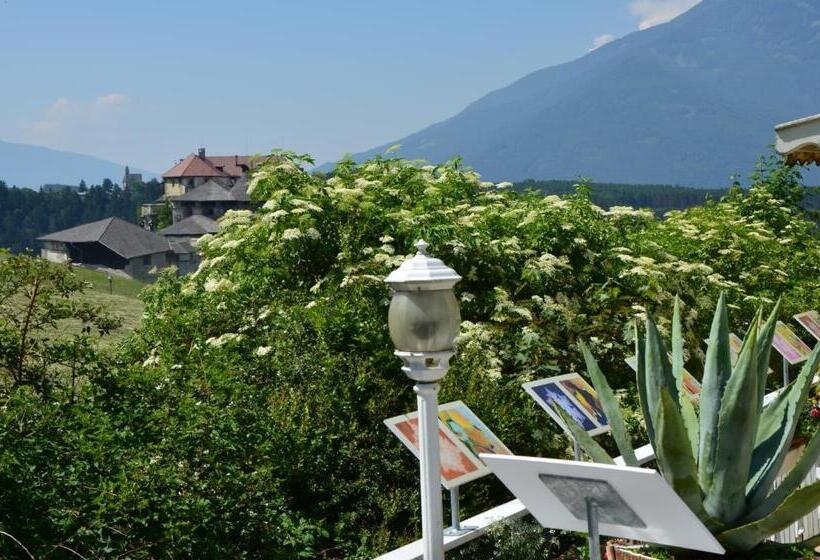 스탠다드 싱글 룸, Alpenlandhotel Rodeneggerhof