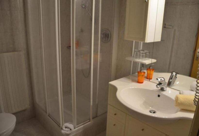 스탠다드 싱글 룸, Alpenlandhotel Rodeneggerhof