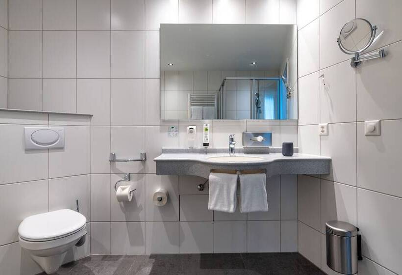 Полулюкс, B Smart Hotel Schönenwerd