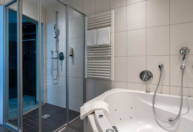 Полулюкс, B Smart Hotel Schönenwerd