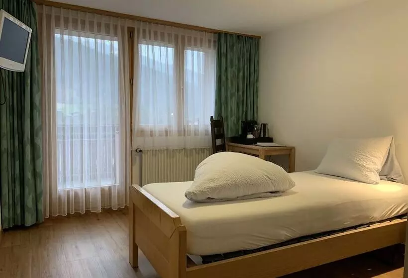 スタンダードシングルルーム, Aktiv  Und Genusshotel Alpenblick