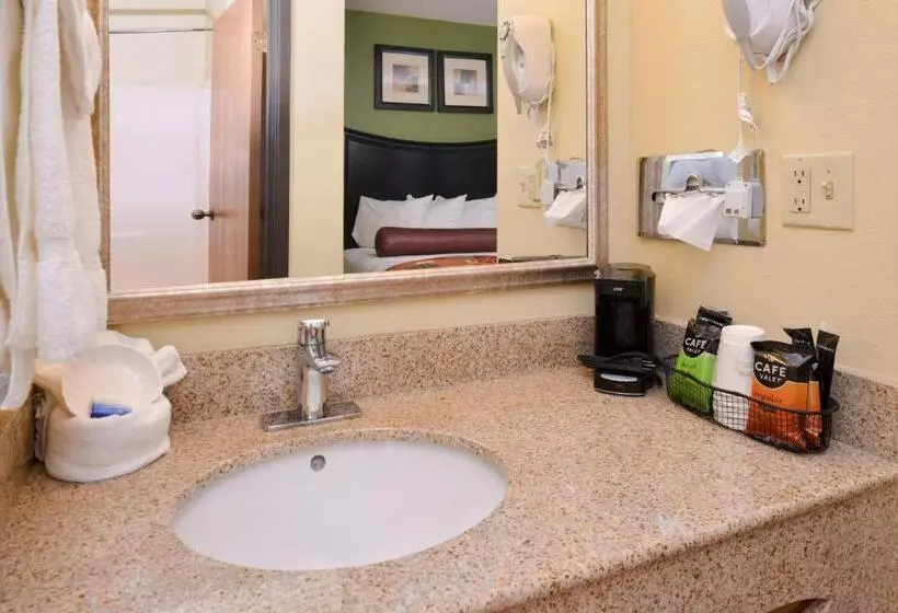 身障者適用クイーンサイズベッドルーム, Best Western Canal Winchester Inn Columbus South East
