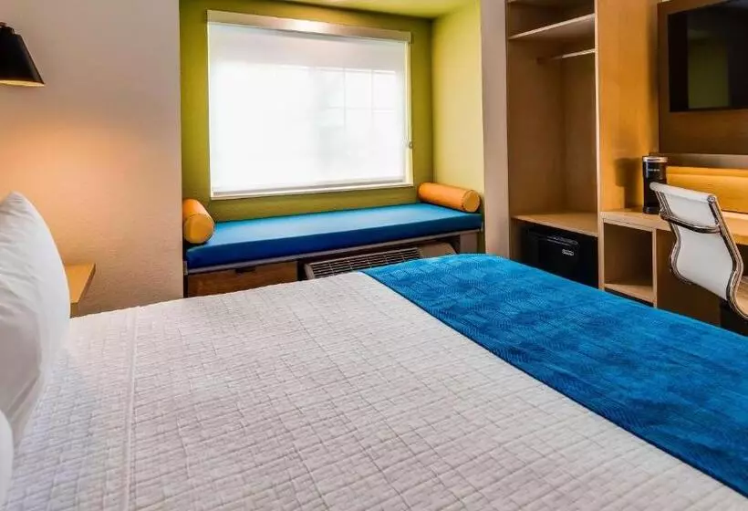 身障者適用キングサイズベッドルーム, Best Western El Paso Airport Entrada