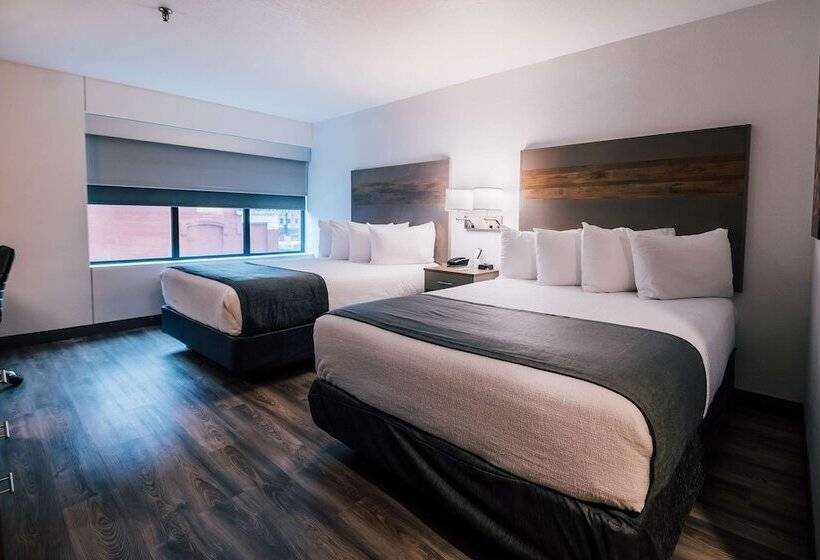 带2个双人床的标准工作室, Best Western Plus Executive Residency Waterloo & Cedar Falls