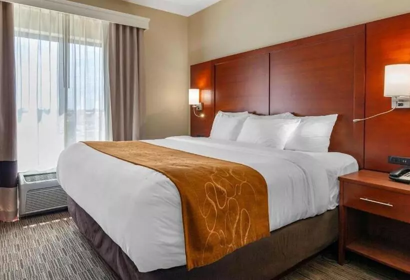キングサイズベッドのスイートルーム, Comfort Suites