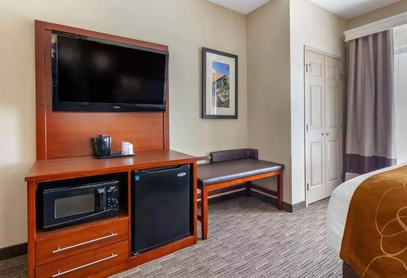 キングサイズベッドのスイートルーム, Comfort Suites