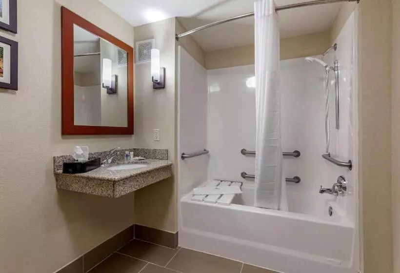 キングサイズベッドのスタンダードルーム, Comfort Suites