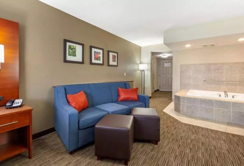 キングサイズベッドのスタンダードルーム, Comfort Suites