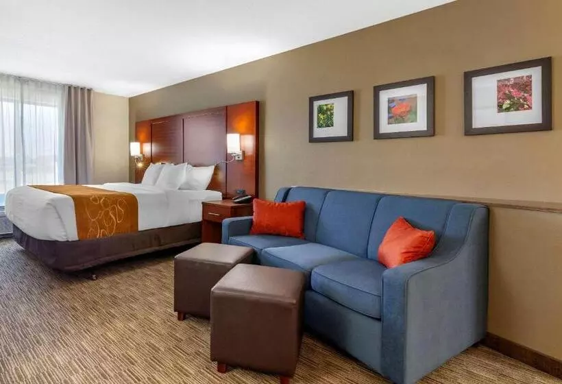 キングサイズベッドのスイートルーム, Comfort Suites