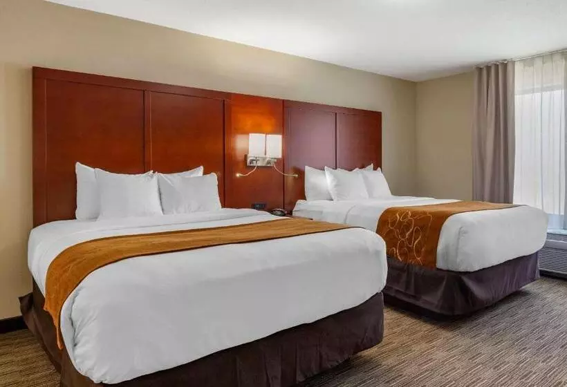 身障者適用スイートルーム, Comfort Suites