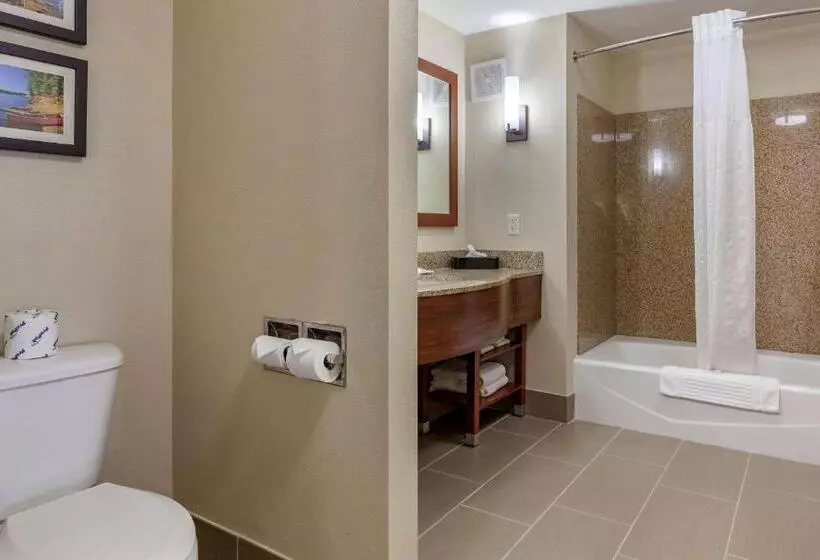 身障者適用スイートルーム, Comfort Suites