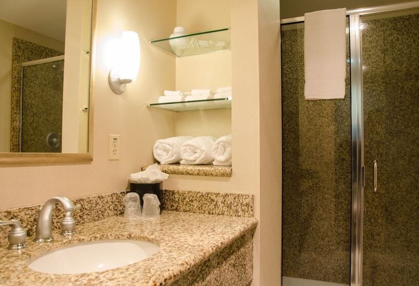 جناح غرفتين نوم, Holiday Inn Hotel Pewaukee Milwaukee West, An Ihg