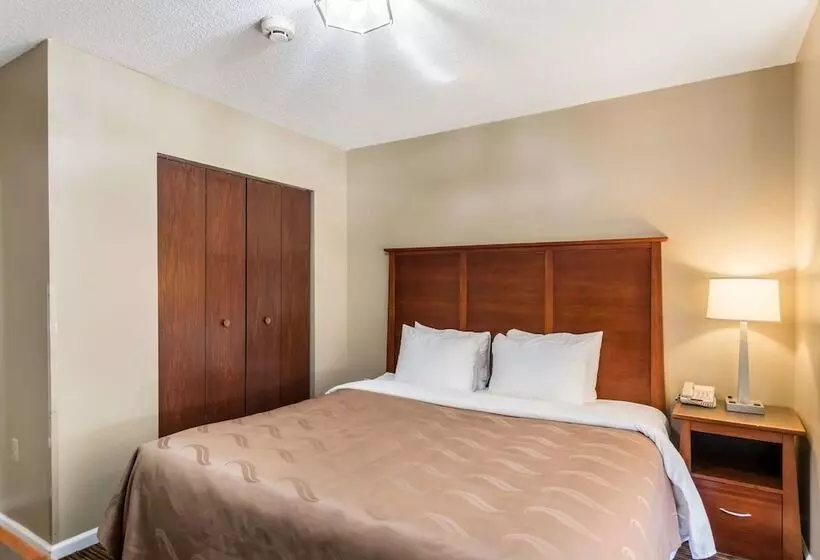身障者適用スイートルーム, Quality Inn Chester South Richmond