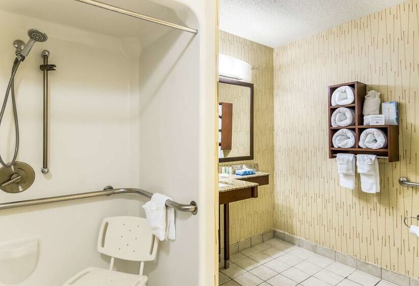 סוויטה מותאמת לאדם עם מוגבלויות, Quality Inn Chester South Richmond