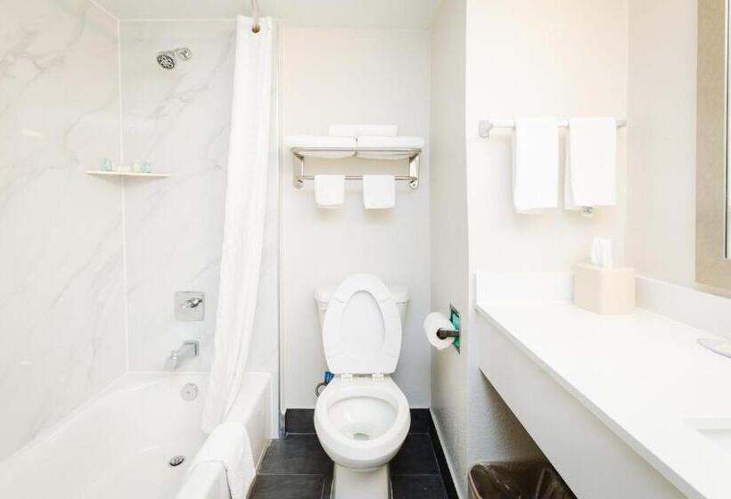 جناح سرير كينج, Quality Suites Houston Hobby Airport