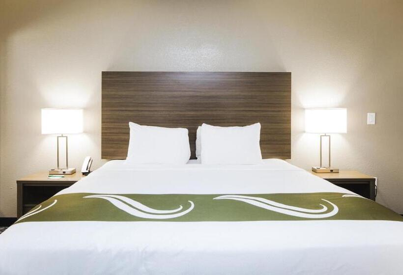 Suite met Kingsize Bed, Quality Suites Houston Hobby Airport