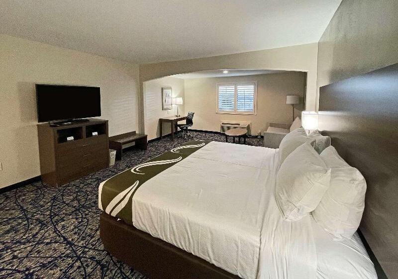 Suite met Kingsize Bed, Quality Suites Houston Hobby Airport
