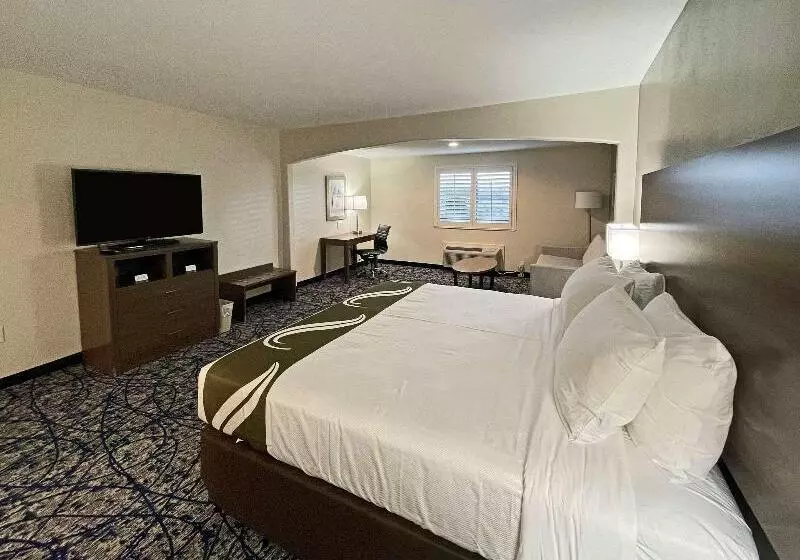 キングサイズベッドのスイートルーム, Quality Suites Houston Hobby Airport