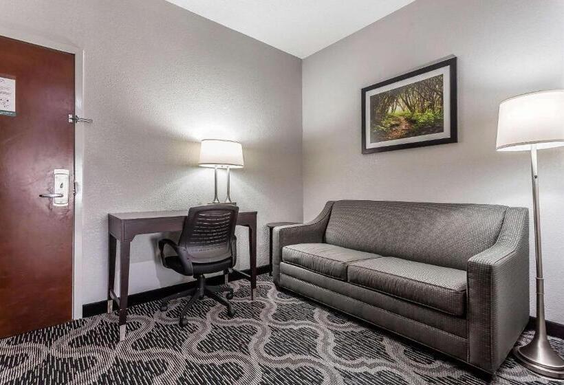 Люкс, Quality Suites Pineville  Charlotte