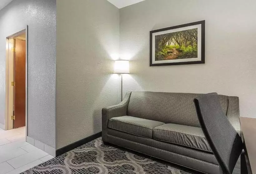 デラックススイート, Quality Suites Pineville  Charlotte