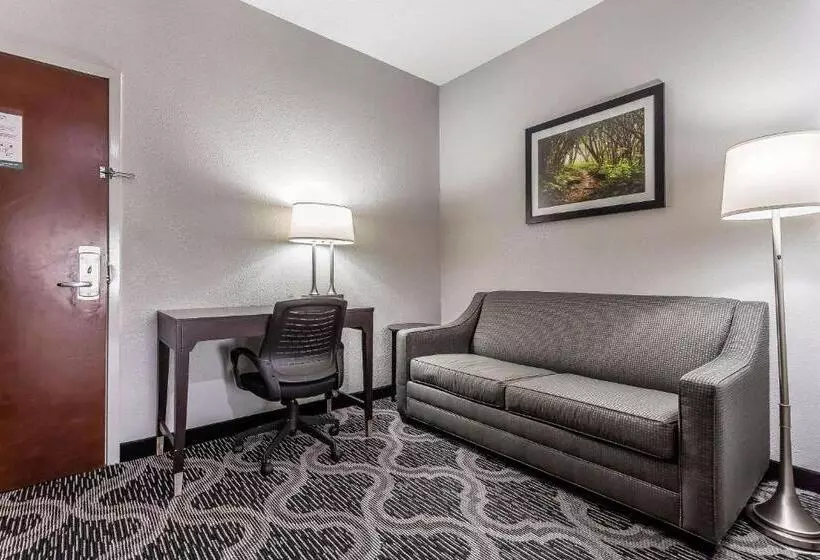 デラックススイート, Quality Suites Pineville  Charlotte