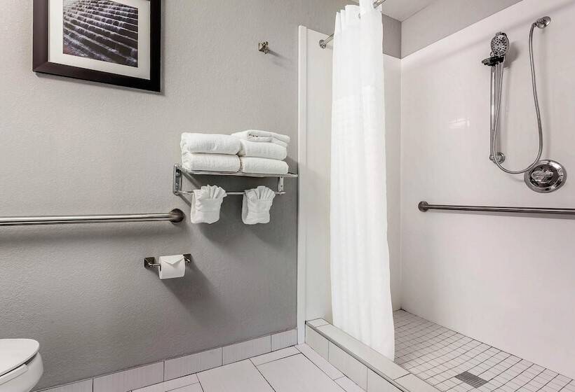 Люкс Адаптированный для Инвалидов, Quality Suites Pineville  Charlotte