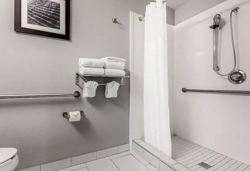 身障者適用スイートルーム, Quality Suites Pineville  Charlotte