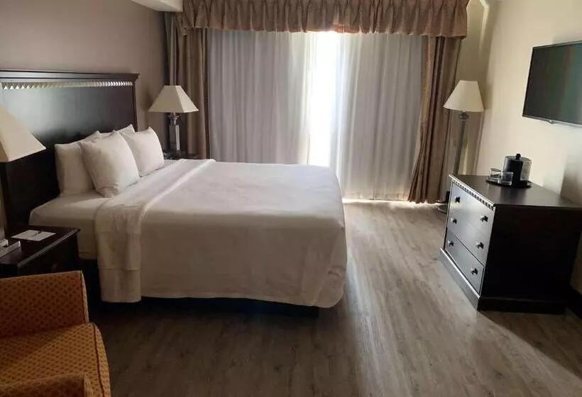 キングサイズベッドのスタンダードルーム, Radisson Hotel Lenexa Overland Park