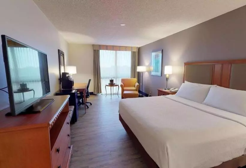 キングサイズベッドのスタンダードルーム, Radisson Hotel Lenexa Overland Park