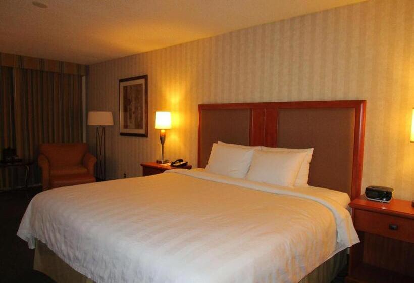 سوئیت با وان آب گرم, Radisson Hotel Lenexa Overland Park