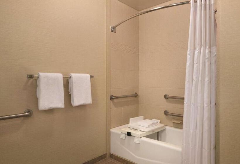 带大床的标准间, Radisson Hotel Lenexa Overland Park