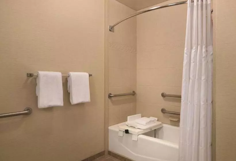 キングサイズベッドのスタンダードルーム, Radisson Hotel Lenexa Overland Park