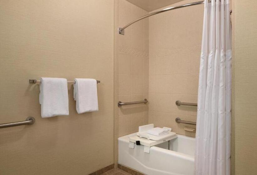 带大床的标准间, Radisson Hotel Lenexa Overland Park