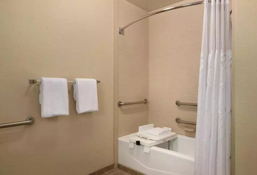 キングサイズベッドのスタンダードルーム, Radisson Hotel Lenexa Overland Park