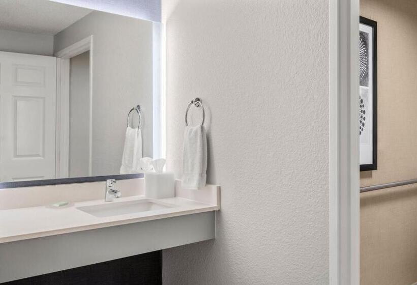 Студия Стандарт, Residence Inn By Marriott Chicago Naperville/warrenville