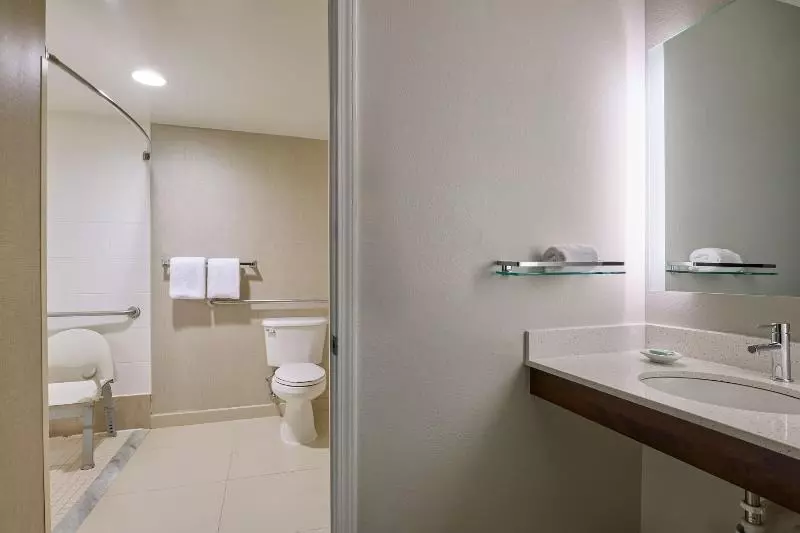 キングサイズベッドのスイートルーム, Residence Inn By Marriott Greenbelt
