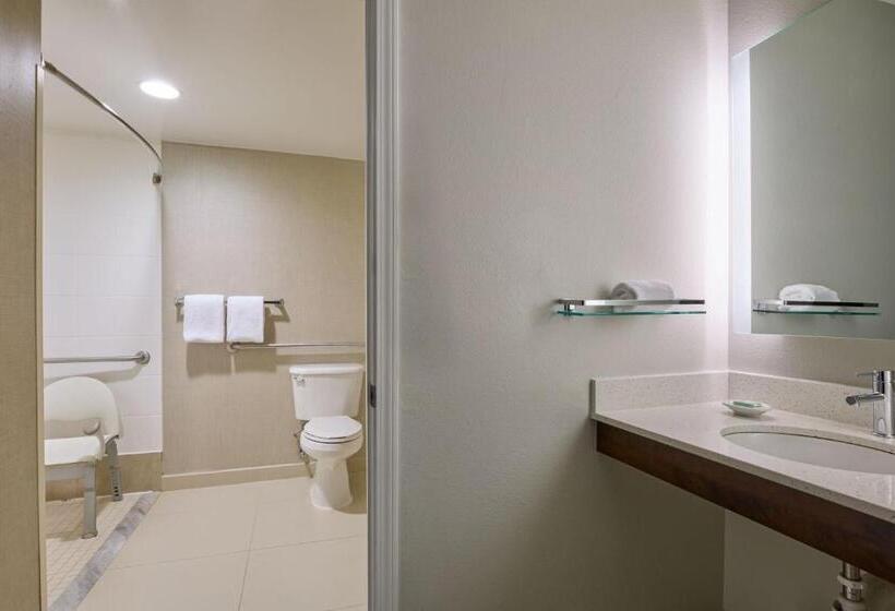 جناح سرير كينج, Residence Inn By Marriott Greenbelt