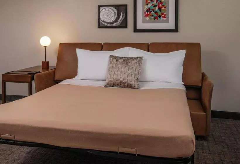 استودیوی استاندارد, Residence Inn By Marriott Norfolk Airport