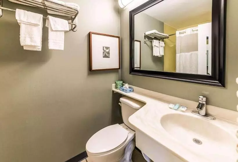 キングサイズベッドのスタンダードルーム, Knights Inn Montgomeryville