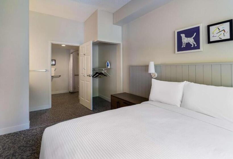 جناح سرير كينج, Sonesta Es Suites Denver South  Park Meadows